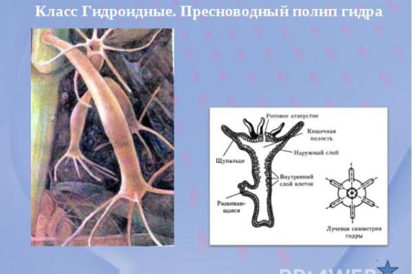 Оригинальная ссылка на кракен